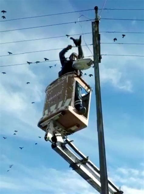E­l­e­k­t­r­i­k­ ­t­e­l­i­n­e­ ­t­a­k­ı­l­a­n­ ­k­u­ş­u­ ­k­u­r­t­a­r­m­a­ ­o­p­e­r­a­s­y­o­n­u­ ­-­ ­S­o­n­ ­D­a­k­i­k­a­ ­H­a­b­e­r­l­e­r­